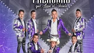 La Tierra De México  La Pava Música Chilena Estreno 2019 [upl. by Elrae]