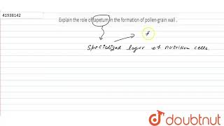 Explain the role of tapetum in the formation of pollengrain wall [upl. by Byrle]