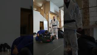 Seminario con el profesor Royce Gracie 31AGO24 [upl. by Ethan]