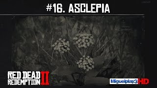 Localización Asclepia Algodoncillo  16Compendio Plantas  Red dead redemption 2 [upl. by Allsun]