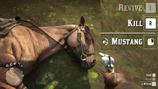 All Your RDR2 Pain in One Video [upl. by Johen]