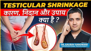 Understanding Testicular Shrinkage  Causes Symptoms and Treatment Options  Dr Gaurav Gangwani [upl. by Fennie772]