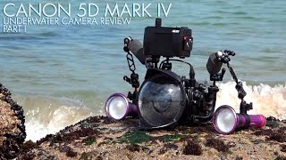 Canon 5D Mark IV Underwater Camera Review  Part 1 [upl. by Wisnicki]