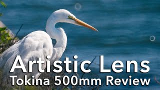 Artistic 500mm Tokina Lens Review [upl. by Halihs]