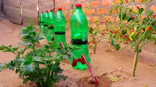 Cómo hacer RIEGO POR GOTEO automático con botellas de plástico [upl. by Adachi]