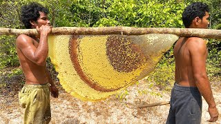 Primitive Technology Harvest Beehive and Honey by Brave Bushmen [upl. by Ettevi]