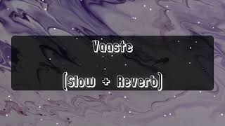 Vaaste Slow  Reverb [upl. by Sedda]