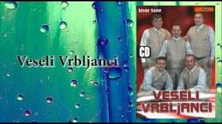 Veseli Vrbljanci  Direktor  Audio 2006 [upl. by Aleakim]