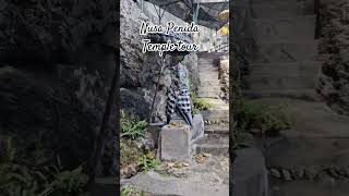 Nusa Penida Temple Tour bali explore seyahat nusapenida temple [upl. by Anita]