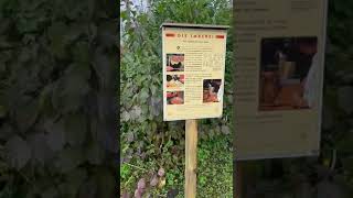 Lehrbienenstand der Krefelder Imker apiary bee bienen garten natur [upl. by Ihpen372]