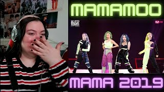 Mamamoo 2019 MAMA Performance REACTION [upl. by Jessica459]