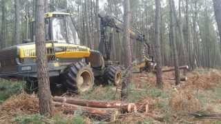 Abatteuse ébrancheuse en forêt de Moulière [upl. by Ayik]