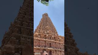 🪔Thanjavur Big Temple 🧐People are taking it for granted shortsfeed food travelingfoodie shorts [upl. by Adnohs]