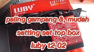 setting SET TOP BOX LUBY DVBT202 [upl. by Ayana]