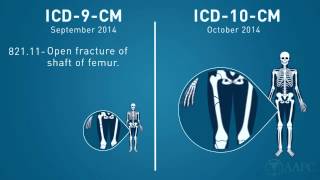 What is ICD10 [upl. by Nospmoht]