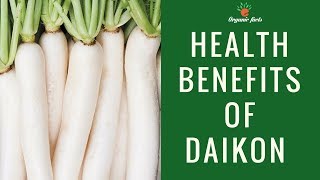 Best Top Health Benefits Of Daikon  Daikon Nutritional Facts [upl. by Clive88]