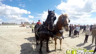 MARATHON DATTELAGE BERCK SUR MER BY ZELITE [upl. by Naloj267]