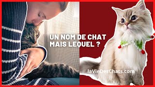 UN NOM DE CHAT en T pour 2022 facile à trouver [upl. by Roana305]