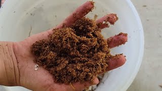 DIY Bokashi Bran Flake [upl. by Admana943]