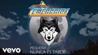 Los Temerarios  Nunca Es Tarde Animated Video [upl. by Ziana]