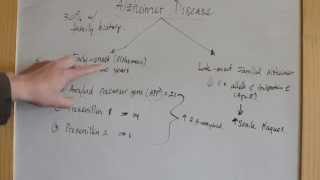 Alzheimer Disease  genetic predisposition  USMLE Step 1 Review [upl. by Ayeka405]