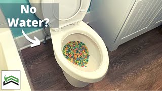 How To Flush A Toilet Without Running Water [upl. by Ainoloppa189]