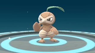 New Gen 3 Pokemon Go Seedot to Nuzleaf Evolution Showcase Pokédex 273 and 274 [upl. by Zolner931]