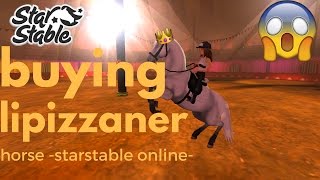 SSO buying the new Lipizzaner horse [upl. by Eimmac]