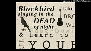 Ibernice MacBean  Blackbird Beatles cover [upl. by Stephana]