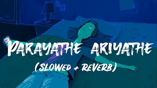 Parayathe ariyathe  lyrics  slow reverb  Its 3 am and you wonder where it when wrong [upl. by Gran]