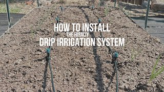 How to Install the HIRALIY Drip Irrigation System [upl. by Lindo103]