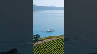 Scenic Drone Footage of Lavaux Vineyard with CGN Boat in the Background switzerland drone aerial [upl. by Ahsenrat]