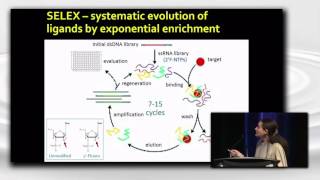 Aptamers and SELEX The Past The Present and The Future [upl. by Gilson]