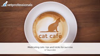 Medicating cats tips and tricks for success 11th March 2021 [upl. by Ymeraj]