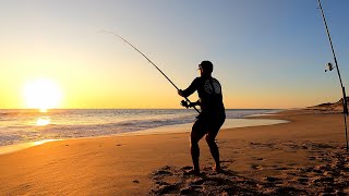 SOLO Beach Fishing Heart Racing MASSIVE FISH CATCH and COOK [upl. by Barcellona]