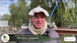 170524  Pedro Alonso  Consignatario  Tandil BsAs [upl. by Koziarz]