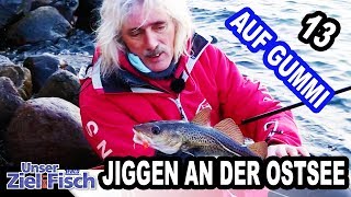 DORSCHE mit GUMMIFISCH  Unser Ziel ist Fisch  Folge 13  Angeln mit Jörg Ovens [upl. by Sloane]