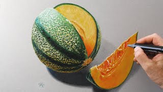 Cantaloupe melon drawing [upl. by Reckford]