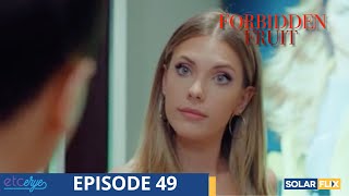 Forbidden Fruit Episode 49  FULL EPISODE  TAGALOG DUB  Turkish Drama [upl. by Nednerb768]