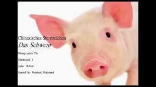 Chinesisches Sternzeichen das Schwein🐖 und seine Eigenschaften Das Schwein ist ehrlich und gerecht [upl. by Lauretta]