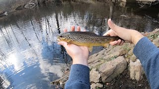 Fishing and Exploring NJ’s Headwater Streams  November 2024 Bass and Trout [upl. by Ymmik]