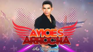 AVIOES DO ARROCHA SO AS MELHORES [upl. by Irahc]