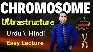 Ultrastructure of Chromosomes  Nucleosome  Histone Proteins  Shahzad Rasool Urdu lecture [upl. by Morville]