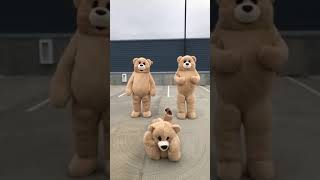 Bears Dancing in a Parking Lot  Viral Twitter Video [upl. by Asyla]