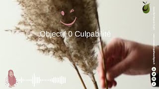 Objectif 0 Culpabilité [upl. by Ocirled]