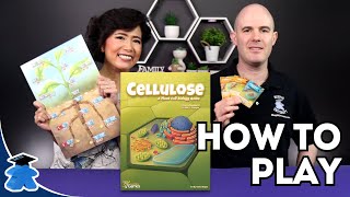 Cellulose  A Plant Cell Biology Game  How to play playing and learning about plants [upl. by Stanly]