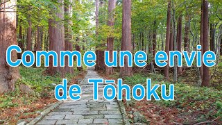 Découverte du Japon  Comme une envie de Tohoku [upl. by Ellenwad]