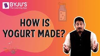 How is Yogurt Made  Learn with BYJUS [upl. by Bette-Ann]