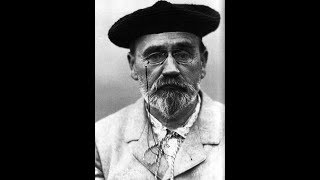 Émile Zola  Germinal Analyse [upl. by Ajan]