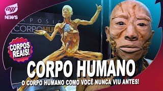 O CORPO HUMANO COMO VOCÊ NUNCA VIU [upl. by Oneill]